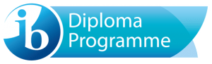 dp-programme-logo-en