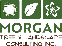 MorganTree&LandscapingConsulting logo